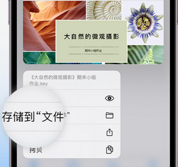 利通apple维修中心分享iPhone文件应用中存储和找到下载文件