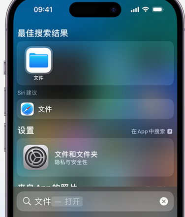 利通apple维修中心分享iPhone文件应用中存储和找到下载文件 