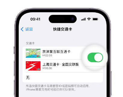 利通apple维修点分享iPhone上更换Apple Pay快捷交通卡手绘卡面 