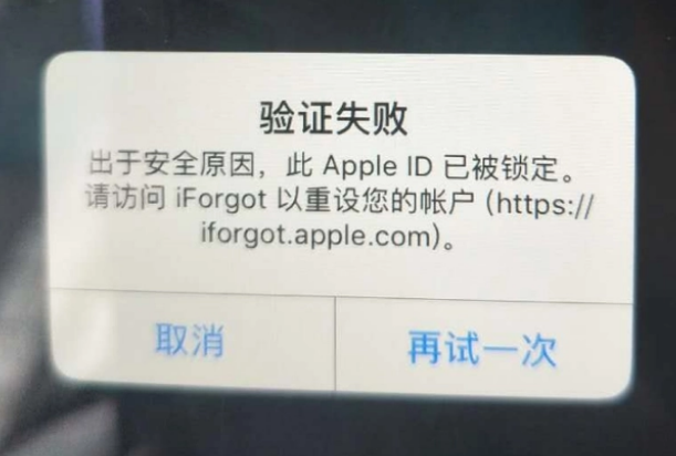 利通iPhone维修分享iPhone上正常登录或使用AppleID怎么办 