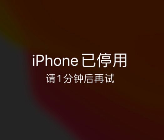 利通苹果手机维修分享:iPhone 显示“不可用”或“已停用”怎么办？还能保留数据吗？ 