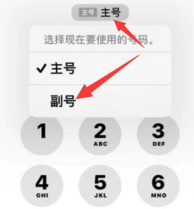 利通苹果14维修店分享iPhone 14 Pro Max使用副卡打电话的方法 