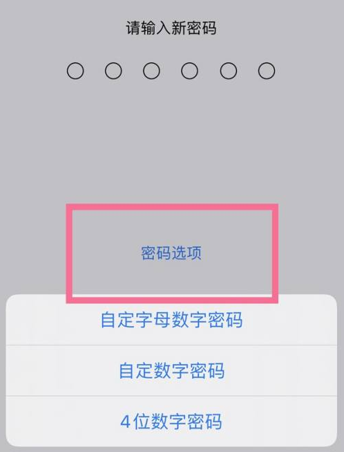 利通苹果14维修分享iPhone 14plus设置密码的方法 