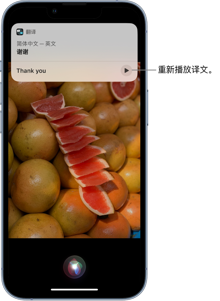 利通苹果14维修分享 iPhone 14 机型中使用 Siri：了解 Siri 能帮你做什么 