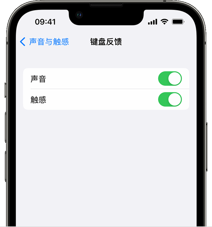 利通苹果14维修分享iPhone 14 系列机型如何开启键盘声音或触感反馈 