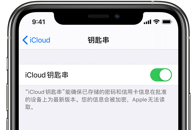 利通苹果手机维修分享在 iPhone 上开启 iCloud 钥匙串之后会储存哪些信息 