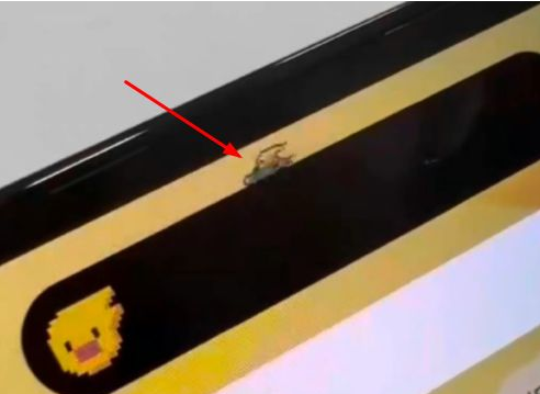 利通苹果14维修分享iPhone 14 Pro Max灵动岛怎么养宠物 