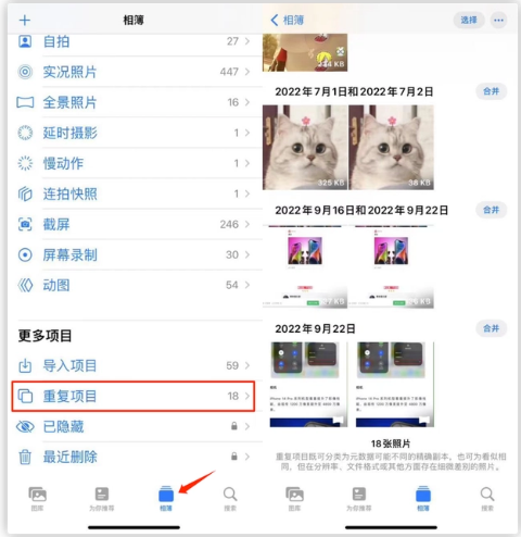 利通苹果手机维修分享iOS 16 中相册重复项目功能使用方法 