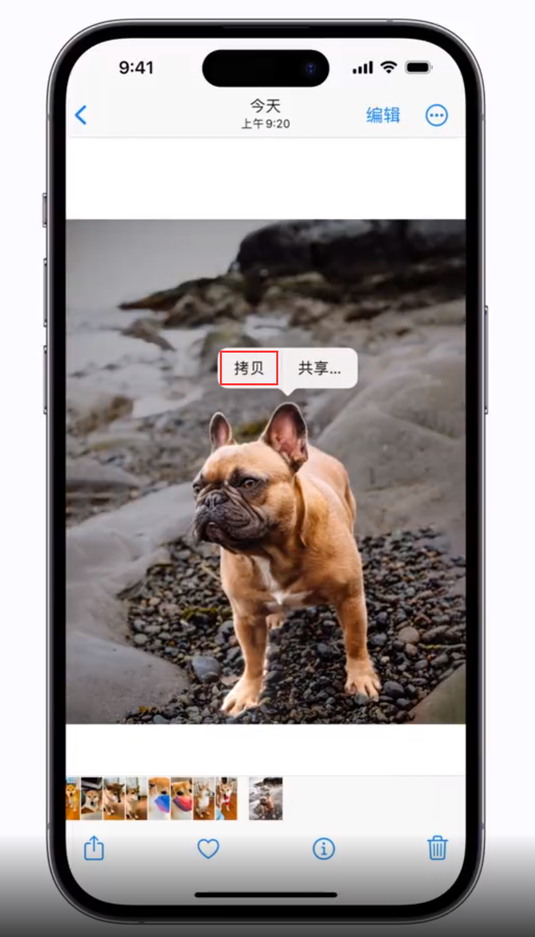 利通苹果手机维修分享 iOS 16 自带一键抠图功能 