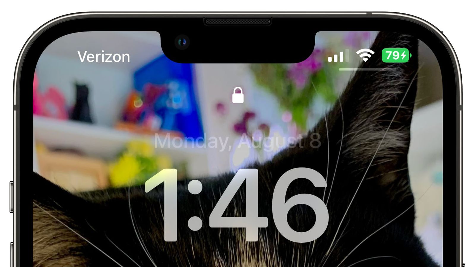 利通苹果手机维修分享iOS 16 beta 5 支持状态栏显示电池百分比，如何开启？支持哪些机型 