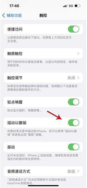 利通苹果手机维修分享iPhone手机如何设置摇一摇删除文字 