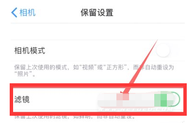 利通苹果13维修分享iPhone13拍照有绿点是怎么回事 