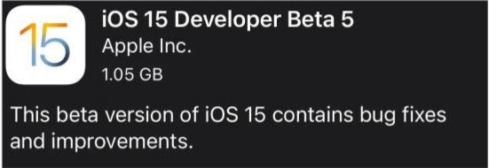 利通苹果手机维修分享如何升级到iOS15.0 beta5 