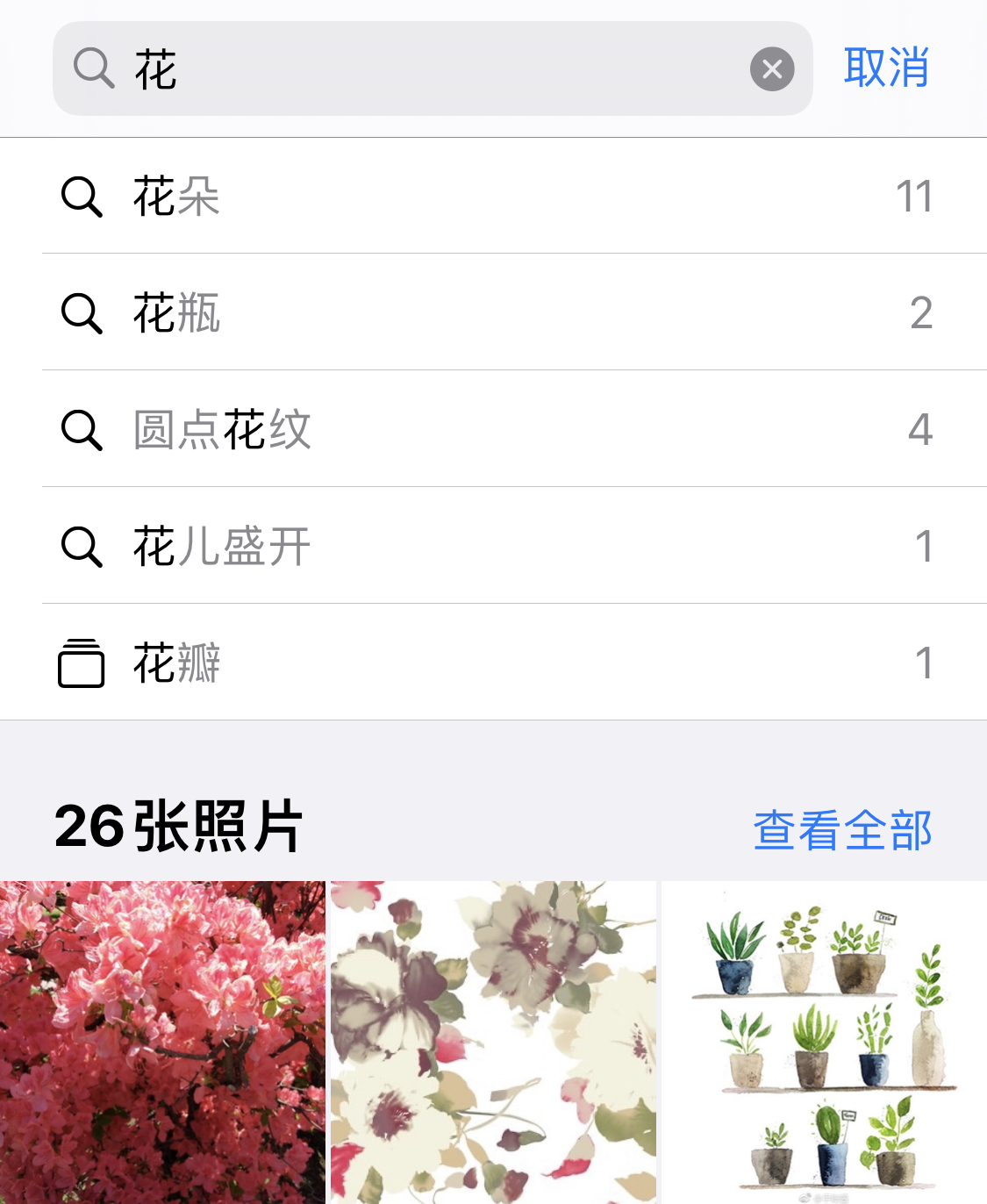 利通苹果手机维修分享iPhone 小技巧 