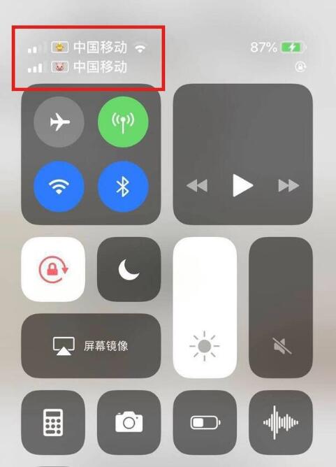 利通苹果手机维修分享为 iPhone 12 双卡设置标签 