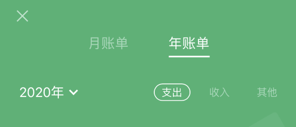 利通苹果手机维修分享如何在 iPhone 上查看支付宝和微信年支出账单 